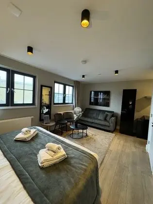 Stüdyo, 1 En Büyük (King) Boy Yatak ve Çekyat, Küçük Mutfak, Göl Manzaralı