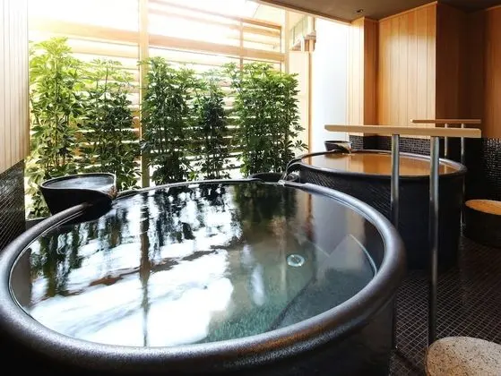 Süit, Sigara İçilmez, Özel Banyo (ATAGO w/2 OpenAirBath, Teppan Kaiseki)