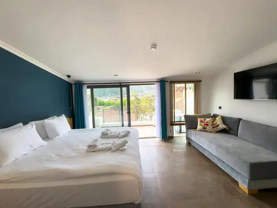 Penthouse Standard Oda