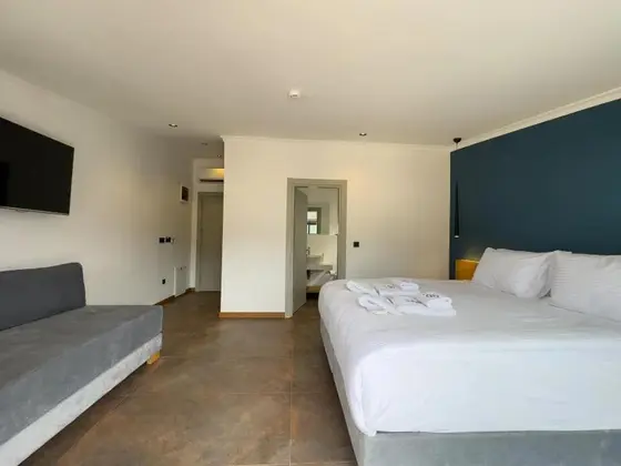 Penthouse Standard Oda
