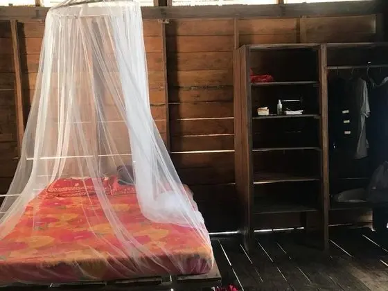Basic Kulübe, 1 Yatak Odası, Sigara İçilmez, Okyanus Manzaralı