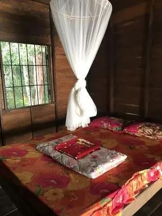 Basic Kulübe, 1 Yatak Odası, Sigara İçilmez, Okyanus Manzaralı