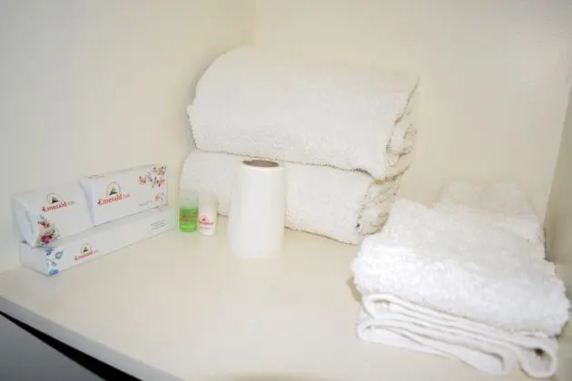 Premium Süit, 1 Çift Kişilik Yatak