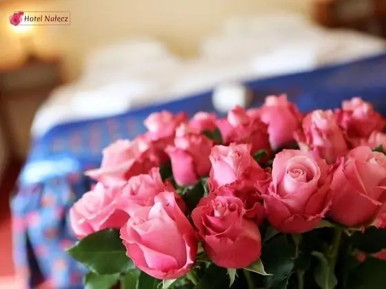 Basic Dört Kişilik Oda