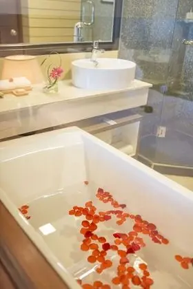 Deluxe İki Ayrı Yataklı Oda, Okyanus Manzaralı