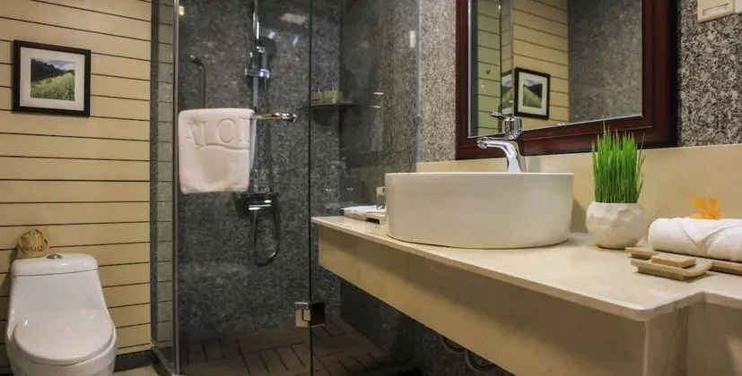 Deluxe İki Ayrı Yataklı Oda, Şehir Manzaralı
