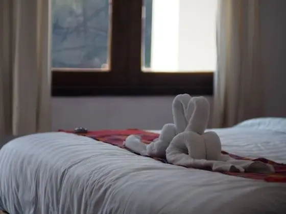 Superior Double Room with Air-con