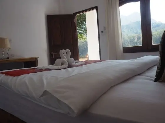 Superior Double Room with Air-con