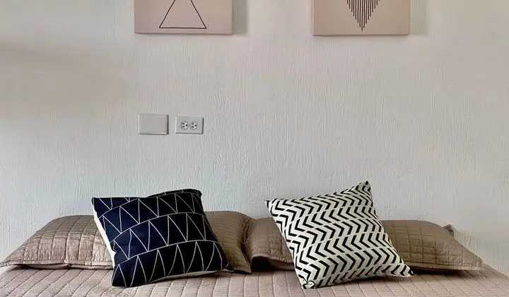 Basic Süit