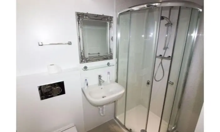 Deluxe Tek Büyük Yataklı Oda, Banyolu/Duşlu