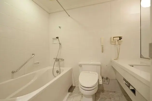 Standard Tek Büyük Yataklı Oda, Sigara İçilebilir (Queen,Oriental Floor)