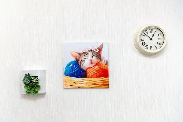 Standard Tek Büyük Yataklı Oda (32)