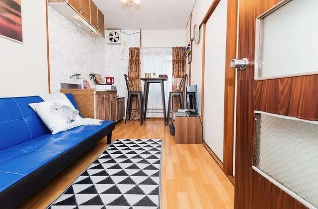 Standard Tek Büyük Yataklı Oda (42)