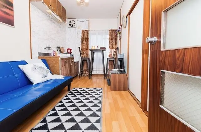 Standard Tek Büyük Yataklı Oda (42)