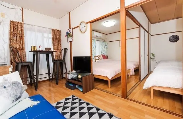Standard Tek Büyük Yataklı Oda (42)