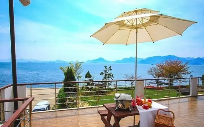 Oda (Sunflower (Duplex))