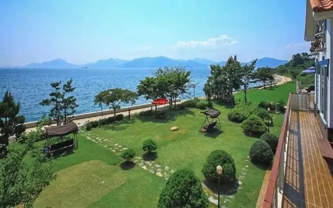 Oda (Sunflower (Duplex))