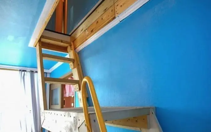 Oda (Sunflower (Duplex))