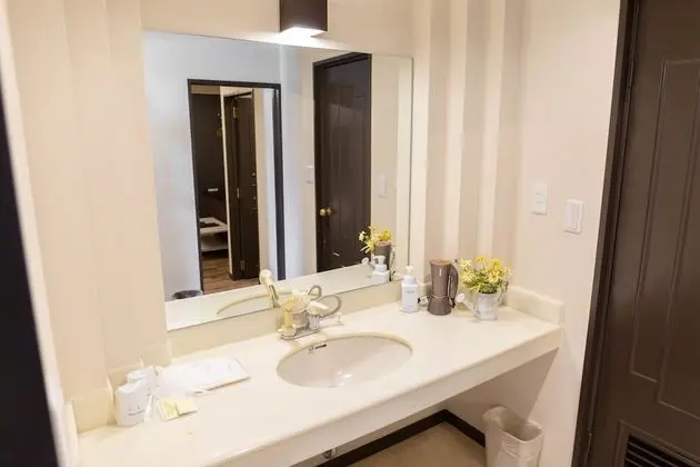 Economy Tek Büyük Yataklı Oda, Sigara İçilebilir