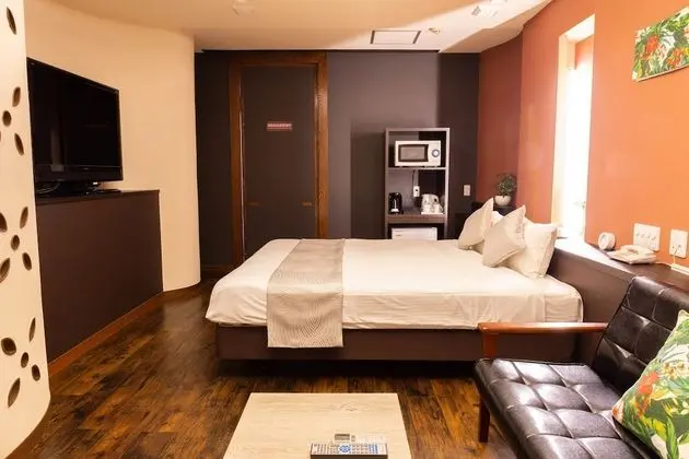 Economy Tek Büyük Yataklı Oda, Sigara İçilmez