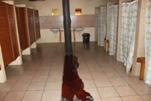 Standard İki Ayrı Yataklı Oda, Sigara İçilmez, Ortak Banyo