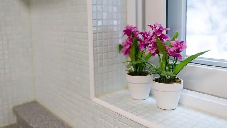 Basic Oda, 1 Yatak Odası (Mint(Aegyeondongban))