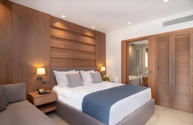 Deluxe Tek Büyük Yataklı Oda, 1 Çift Kişilik Yatak ve Çekyat, Bahçe Manzaralı