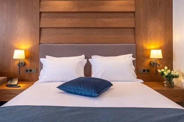 Deluxe Tek Büyük Yataklı Oda, 1 Çift Kişilik Yatak ve Çekyat, Bahçe Manzaralı