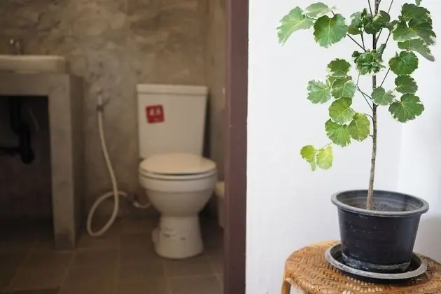 Triple with private Bathroom