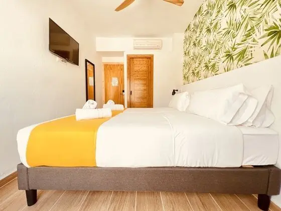 Deluxe Tek Büyük Yataklı Oda, Özel Banyo (Double A/C)