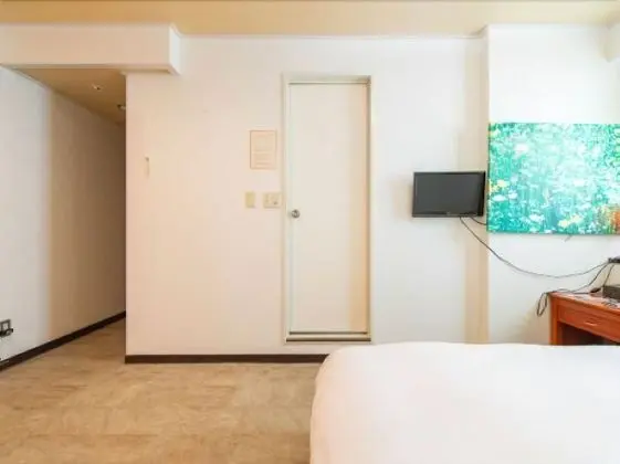 Tek Büyük Yataklı Oda, Sigara İçilmez (Child 6-11 use existing bed 1500 JPY)