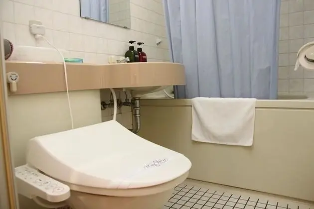 Tek Büyük Yataklı Oda, Sigara İçilmez (Child 6-11 use existing bed 1500 JPY)