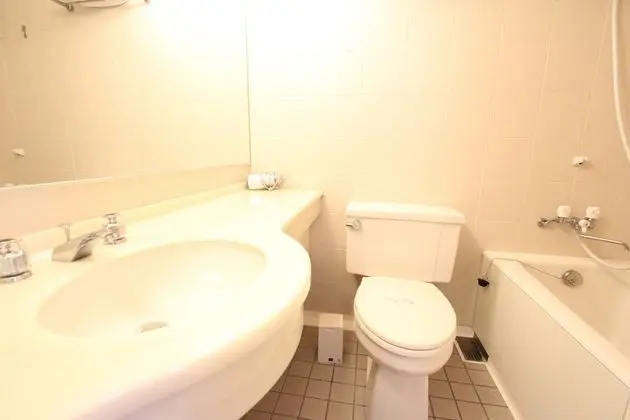 Tek Büyük Yataklı Oda, Sigara İçilmez (Child 6-11 use existing bed 1500 JPY)