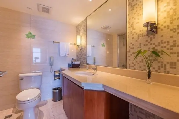 Standard Tek Büyük Yataklı Oda, Göl Manzaralı