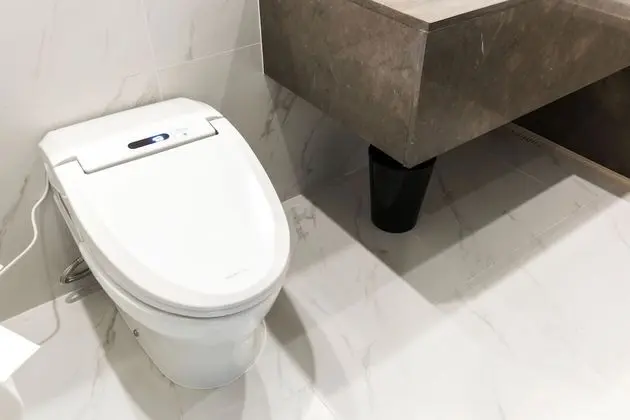 Deluxe Tek Büyük Yataklı Oda, 1 En Büyük (King) Boy Yatak, Dağ Manzaralı