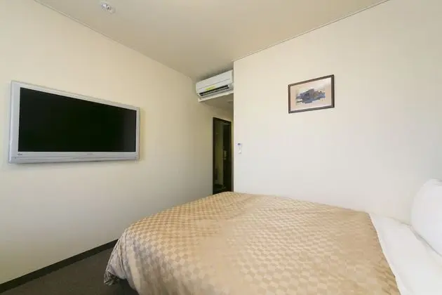 Tek Büyük Yataklı Oda, Sigara İçilmez (Comfort)