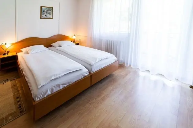 Superior Tek Büyük Yataklı Oda, 1 Çift Kişilik Yatak, Sigara İçilmez