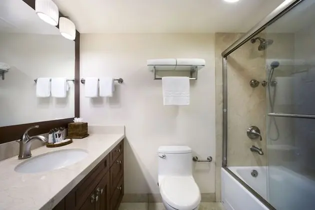 Stüdyo, Okyanusa Sıfır