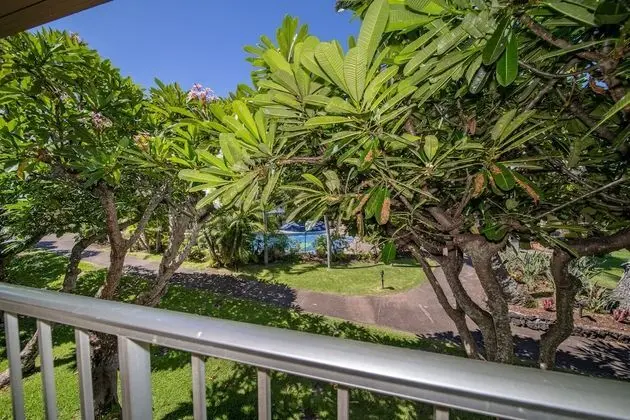 Oda, 1 Yatak Odası, Bahçe Manzaralı