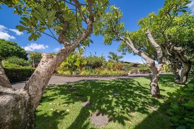 Stüdyo, 1 En Büyük (King) Boy Yatak ve Çekyat, Bahçe Manzaralı