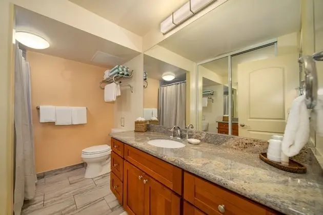 Stüdyo, 1 En Büyük (King) Boy Yatak ve Çekyat, Bahçe Manzaralı