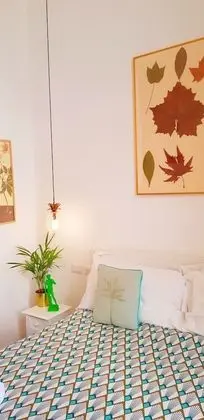 Classic Tek Büyük Yataklı Oda