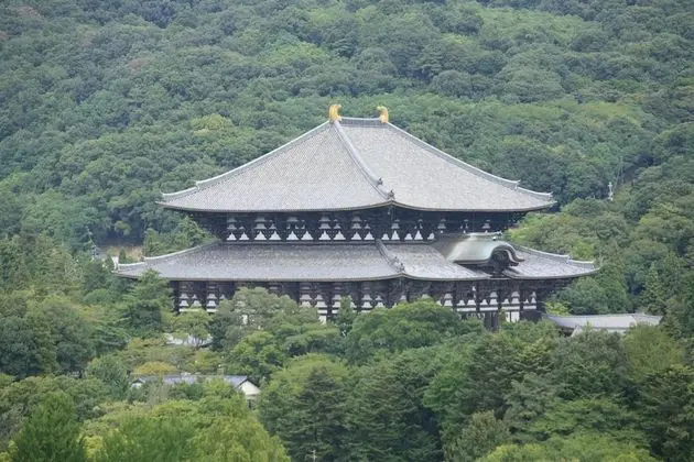 Panoramic Oda (Dinner - Guest Room)