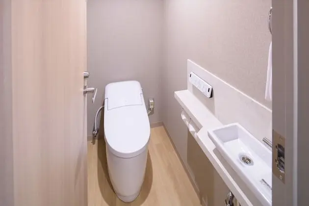 Deluxe Oda, Sigara İçilmez (Renewal, Forth, No cleaning Service)