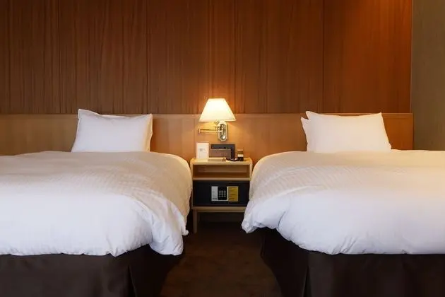Deluxe İki Ayrı Yataklı Oda, Sigara İçilmez