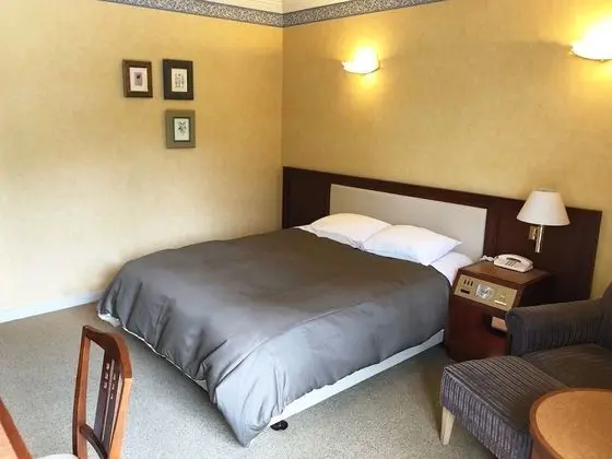 Tek Büyük Yataklı Oda, Sigara İçilmez (Garden)