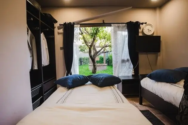 Cat Room