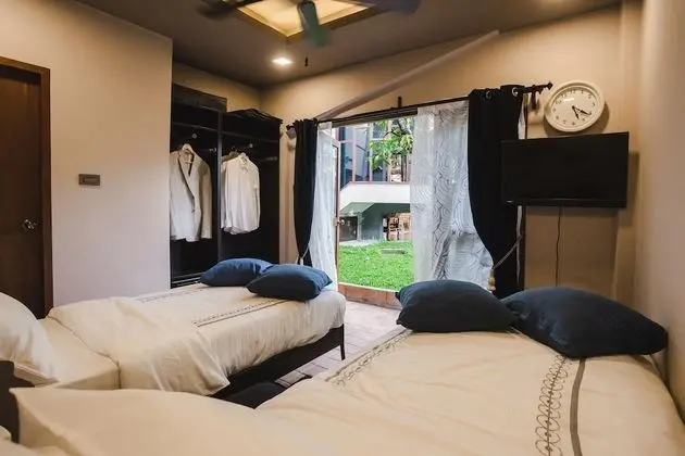 Cat Room