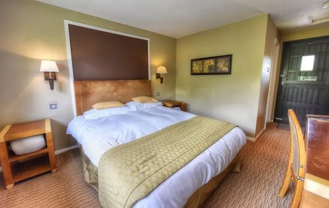 Standard Tek Büyük Yataklı Oda, 1 En Büyük (King) Boy Yatak