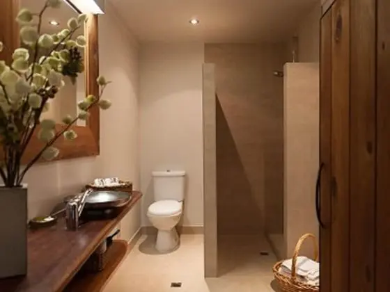 Deluxe Oda, Sigara İçilmez, Balkon (Deluxe Suite)